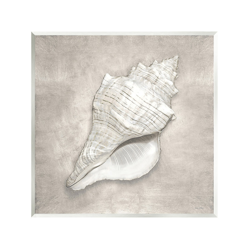 «Rustic Grey Conch Shell» par Amber Sterling