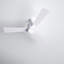 Tulsi 3 Blade Ceiling Fan with LED Light Kit-1642915340-1642915329