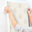 Papier peint Frond-2088466728