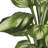 28'' Faux Hosta Plant in Basket