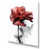 Wrapped Canvas