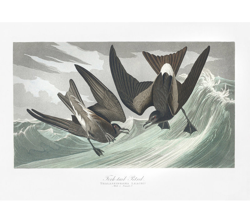 Wrapped Canvas Print, 60.96 cm H x 91.44 cm W