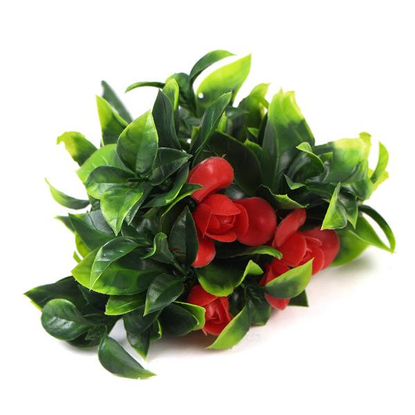 Aneris Arrangement