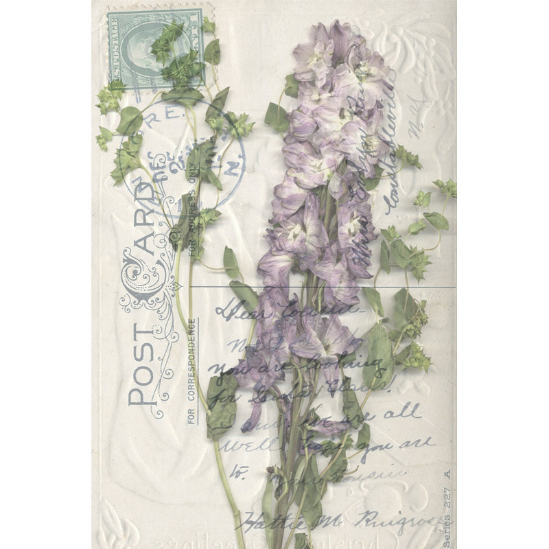 Small Postcard Wildflowers I by Jennifer Goldberger - Wrapped Canvas Art Prints, 46cm H x 30cm W x 3.8cm D