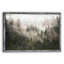 " Foggy Pine Forest "-1602977540