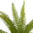 12'' Faux Fern Plant Plant in Pot