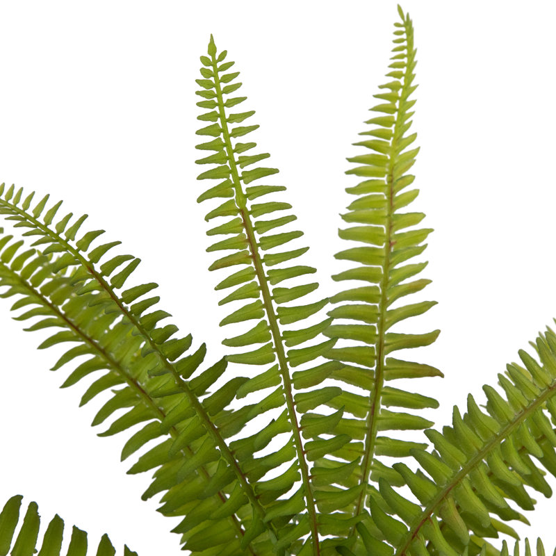 12'' Green Faux Fern Plant in Charcoal Aztec Ceramic Pot
