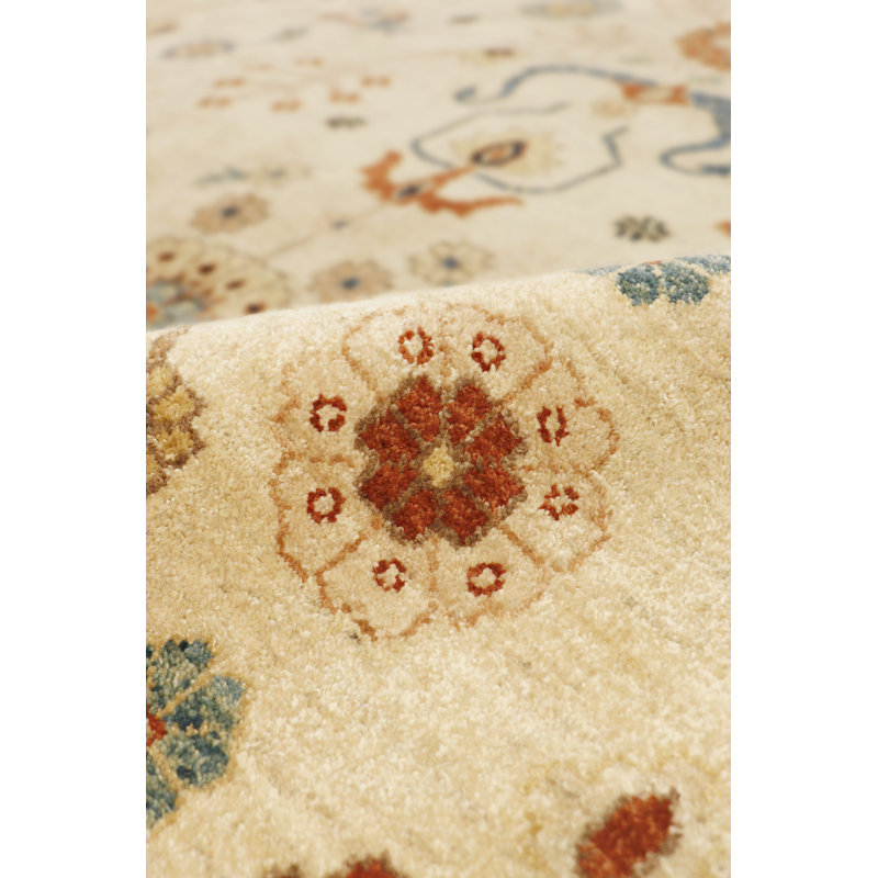 Sultanabad Hand Knotted Wool Oriental Area Rug in Ivory/Black/Red, Rectangle 6'3" x 9'2"
