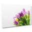 Yellow & Purple Tulips - Wrapped Canvas-56641861