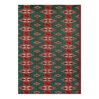 Tapis fin fin noué à la main 4 pi 6 po x 6 pi 5 po Turkaman