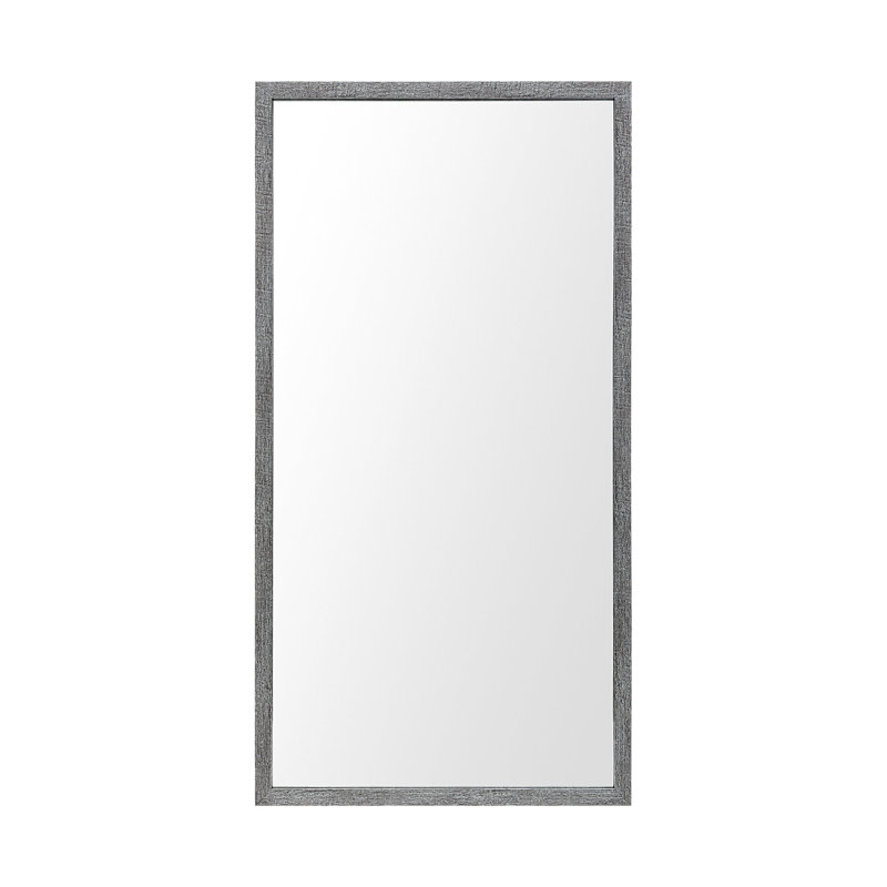 Miroir de salle de bain Aariah, H 41,5 po x l 21,5 po, Gris