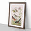 A Selection of Birds by John Audubon - Framed Print-55450938-55450943