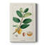 Turpin Tropical Botanicals V-659523922