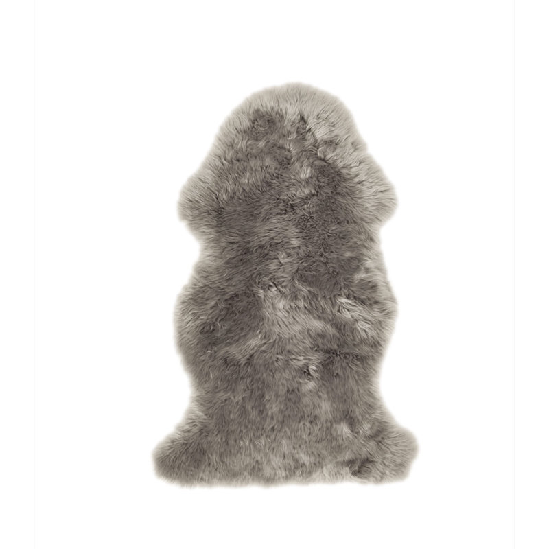 Asberry 55cm X 90cm Area Rug