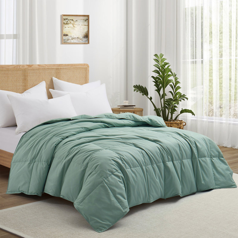 Fill Power All Season, Twin Down Comforter, Purple