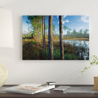 « pond near the loxahatchee river, jonathan dickinson state park, floride », reproduction de photo sur toile