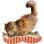 Rowlett 4 " H Cat Scratching Post