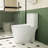 Elongated Comfort Height One-Piece Ceramic Toilet, White, Soft Close Seat