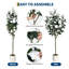 Arrangement