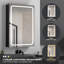 Miroir pour pharmacie Delcine