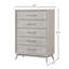 Commode de chambre à 5 tiroirs Roundhill Haak, finition chêne gris
