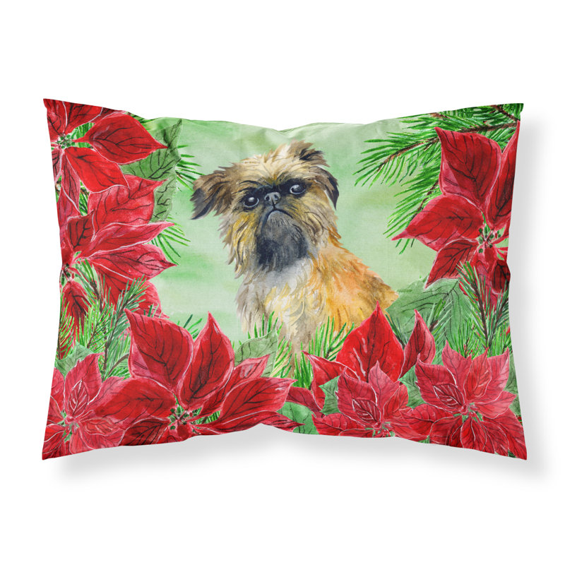 Taie d’oreiller poinsettas, Griffon bruxellois