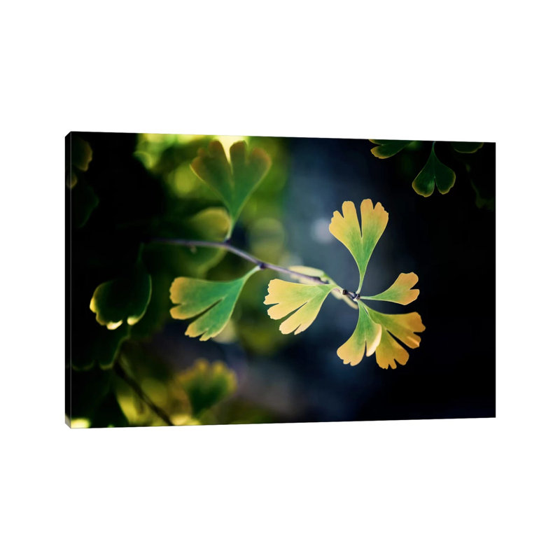 A Leaf Tells The Fall - Wrapped Canvas Print, 20.32 cm H x 30.48 cm W