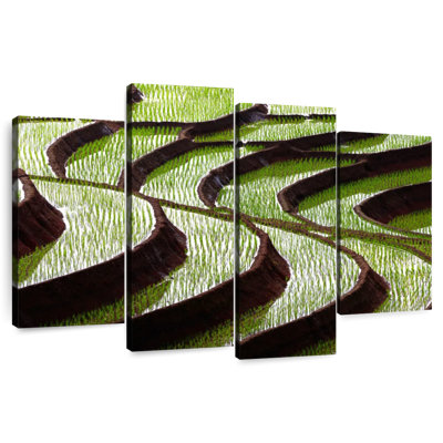 Alvord Curvy Rice Terraces