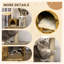 Litter Box Enclosure