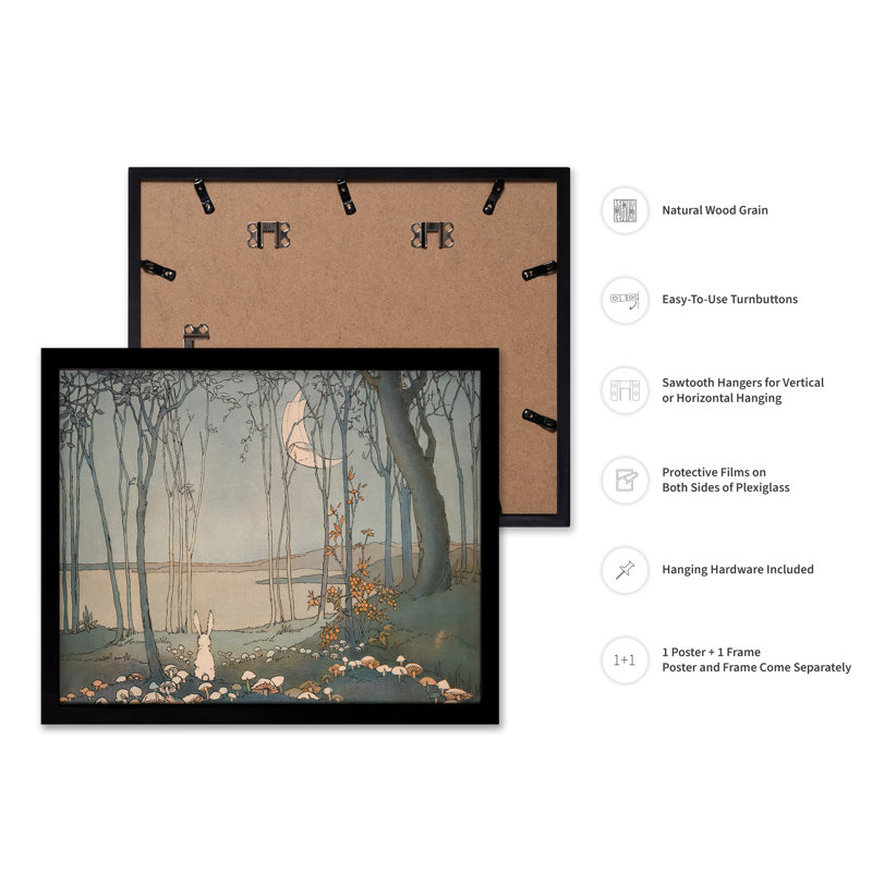 Lapin et la nouvelle lune, Black Framed, Poster, 12"H x 16"W