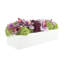 Orchid and Sedum Arranged in Fiberstone Planter-1944020320-1944020460