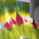 Dawna Floral Green/Orange Area Rug