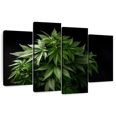 Grappe de marijuana Senne