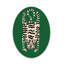 Tapis vert émeraude tigre blanc lavable à la machine 100% coton 4 pi x 6 pi