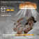 Cashawn 21.3'' Ceiling Fan with LED Lights