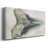 Watercolor Sharks Tooth III- Gallery Wrapped Canvas -Ready to Hang-1807688564