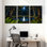 Abstrait forêt au clair de lune avec étoiles brillantes et fougères, ensemble de 3 impressions sur toile