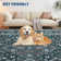 Vintage Floral Machine Washable Rug Non Slip Low Pile Thin Non Shedding Floor Carpet, Indoor Foldable Printed Accent Carpet for Living Room Bedroom Office