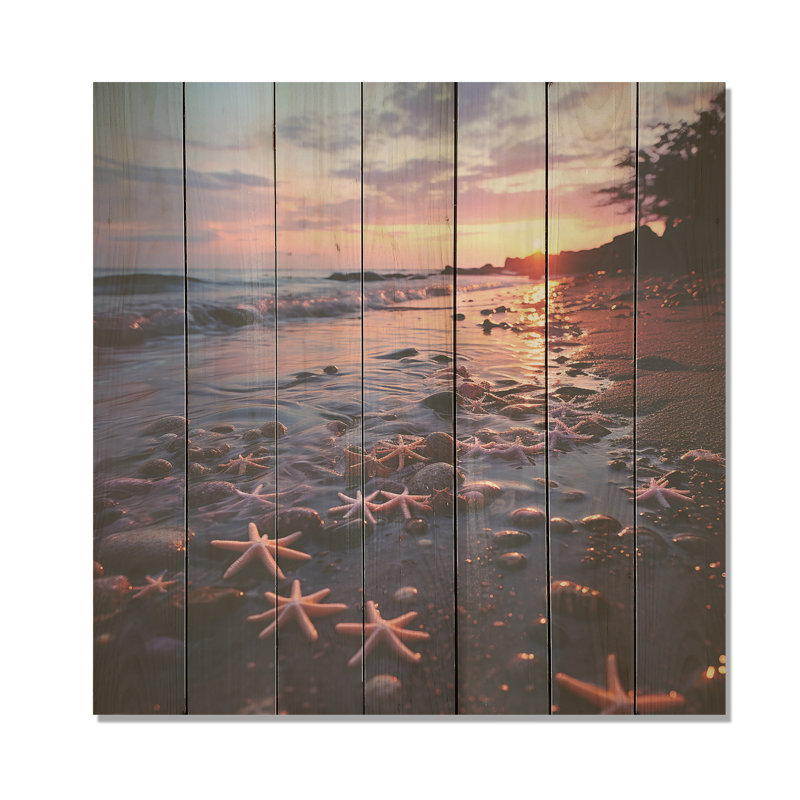 Étoile de mer sur la plage, photo II - plage sur bois, H 30 po x l 30 po
