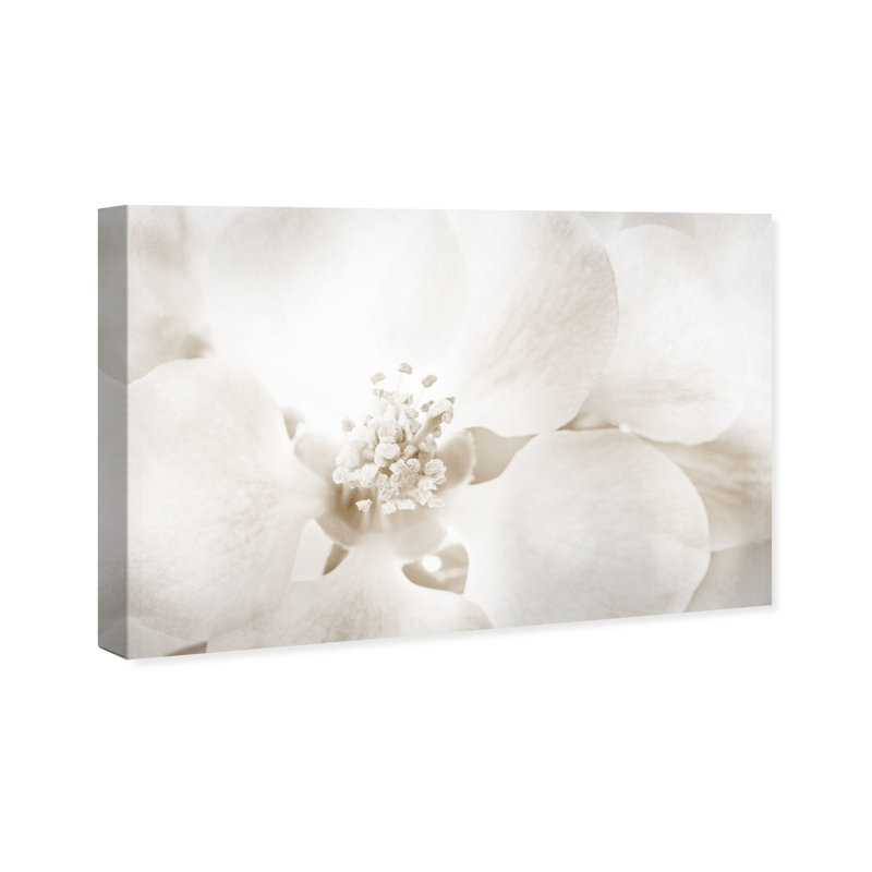 «Floral and Botanical Orchid Love», reproduction d'art graphique sur toile, H 20 po x l 30 po, Toile tendue, Sans cadre