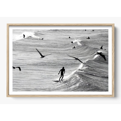 «Surfing With The Free»