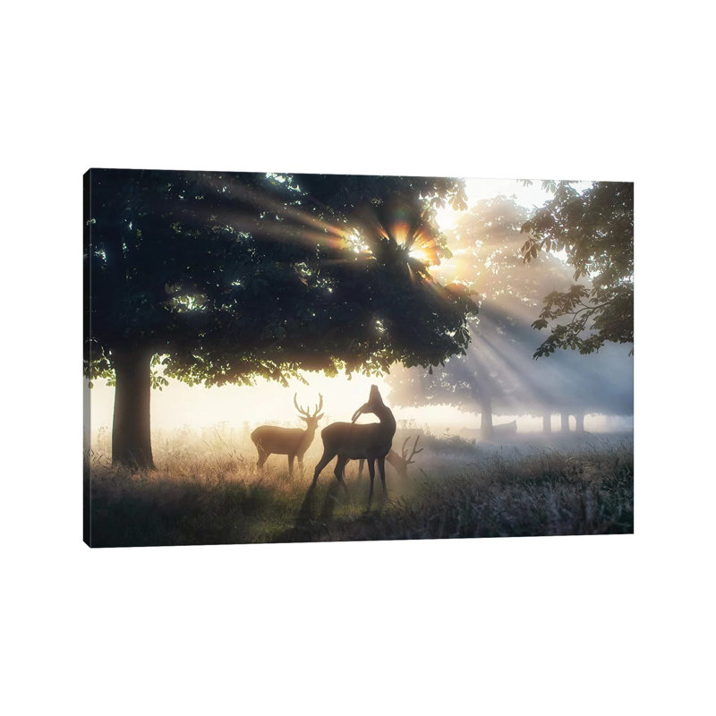 Boys Of Summer by Max Ellis - Wrapped Canvas Print, 30.48 cm H x 45.72 cm W