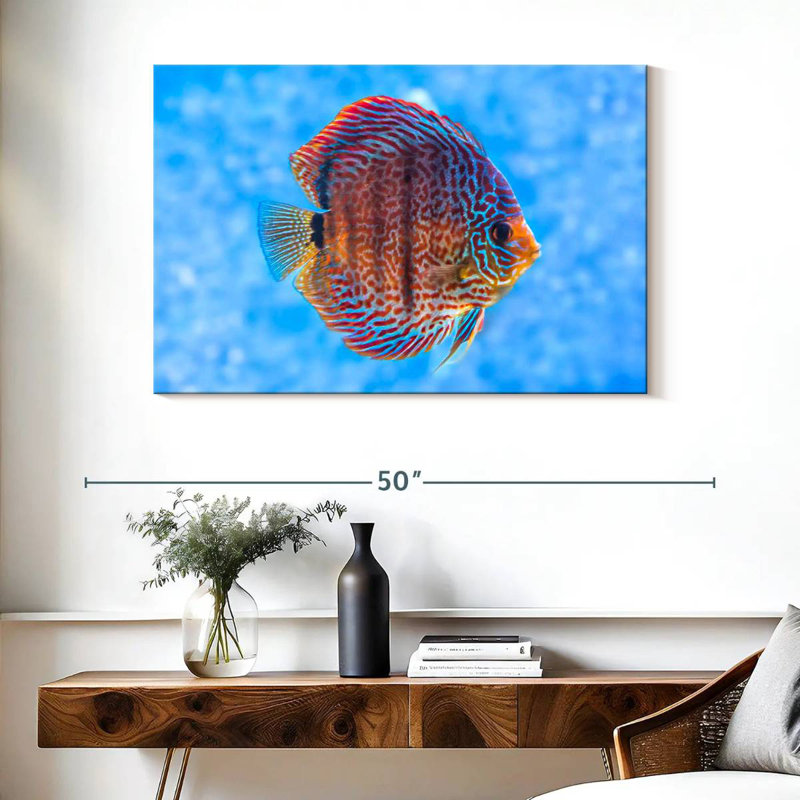 Brampt Freshwater Discus Fish, 26" H x 39" W