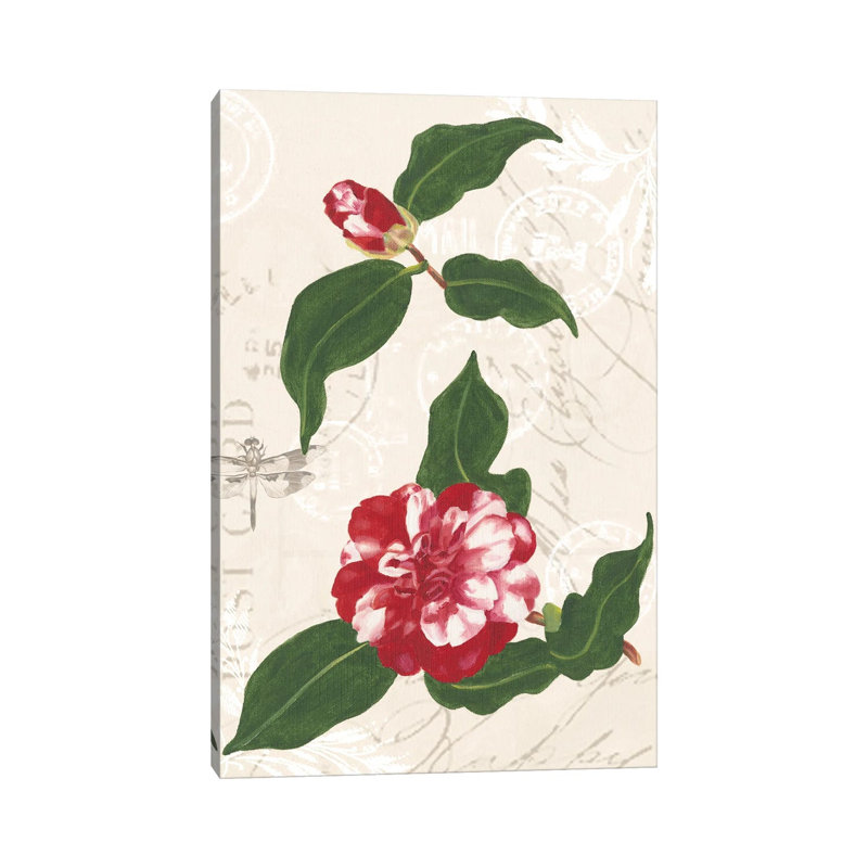 Dianne's Camelias I by Dianne Miller - Gallery-Wrapped Canvas Giclée on Canvas, Canvas, 30.48 cm H x 45.72 cm W