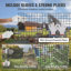 Ensey Mesh Chicken Fencing-596562726