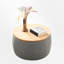 Table basse avec rangement Mylo-896290906-863572776