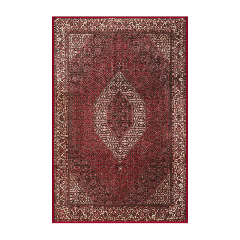 Catilaya Oriental Indoor Rug, Rectangle 3' x 5'