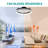 Codero 19.7'' Ceiling Fan with LED Lights