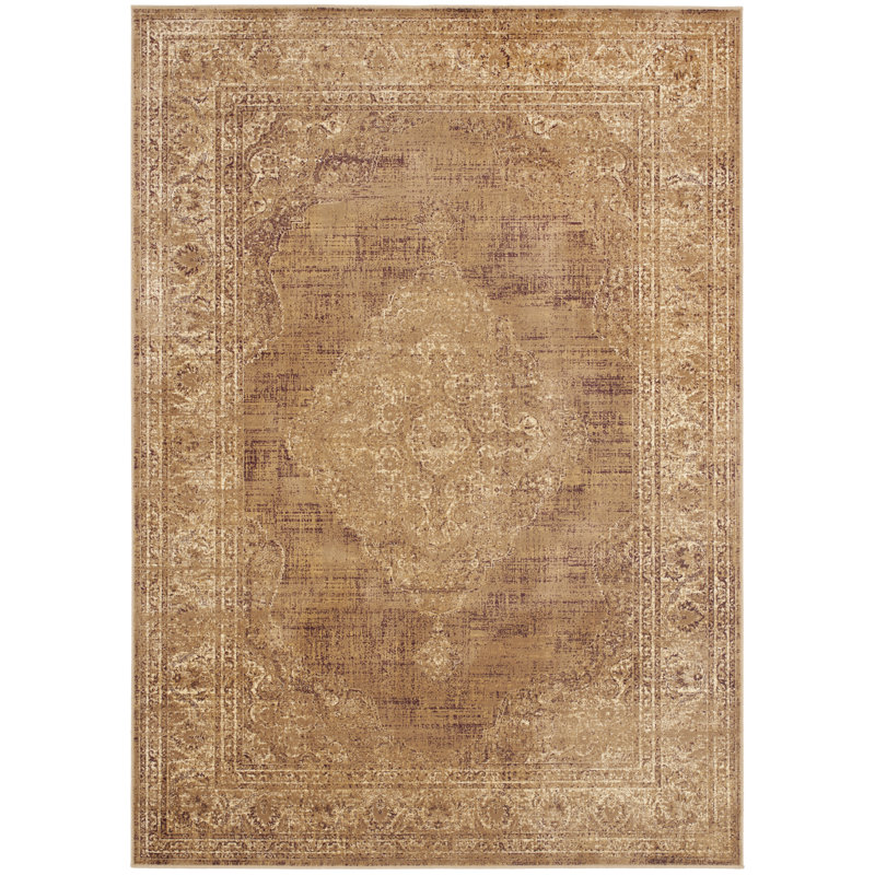 Evanoff Taupe Area Rug, Rectangle 5'3" x 7'6"