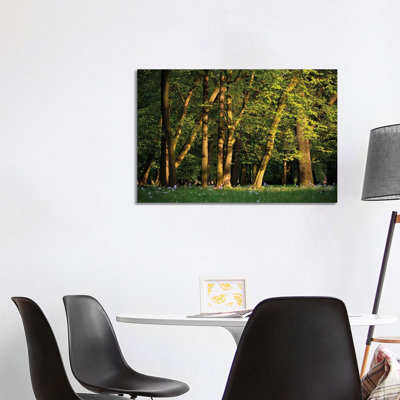Spring Forest by Mateusz Piesiak - Wrapped Canvas Print